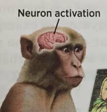 activate_neuron