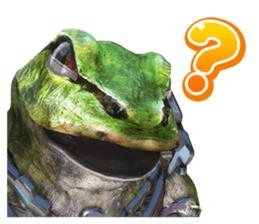 frog_question