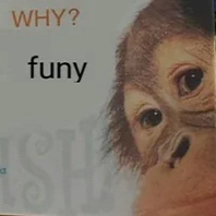 whyFuny